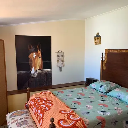 Casa De Vinha: Casa Principal Holiday home